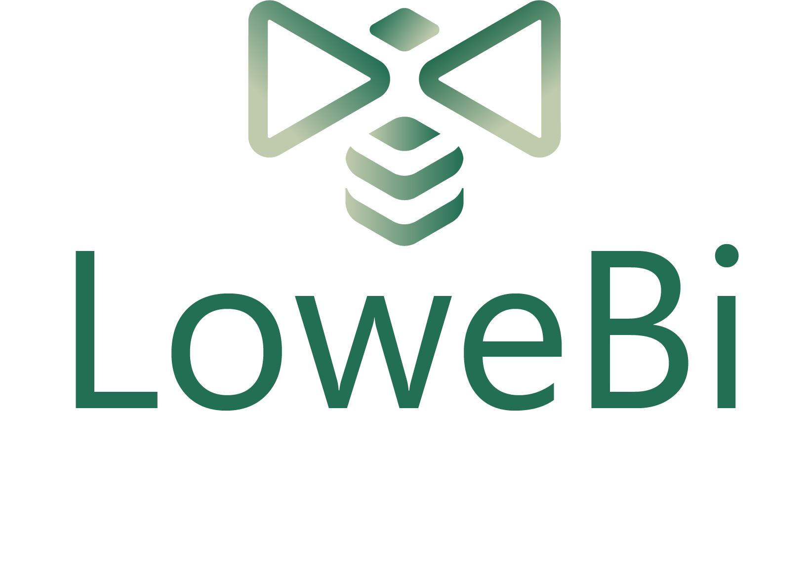 Lowe Bi